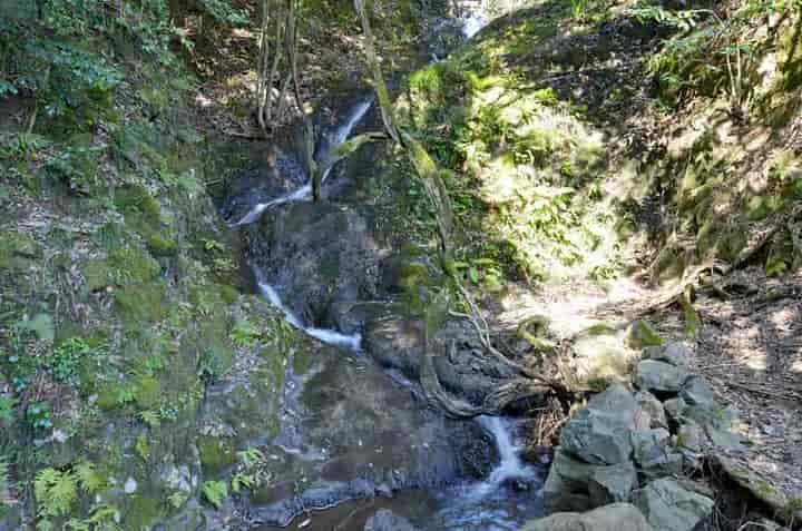 ���c�R���s���̑�